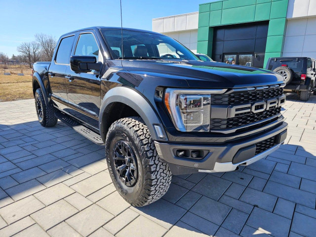 2023 Ford F-150 in Cars & Trucks in Ottawa - Image 4