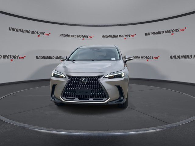 2024 Lexus NX NX 250 in Cars & Trucks in Hamilton - Image 3