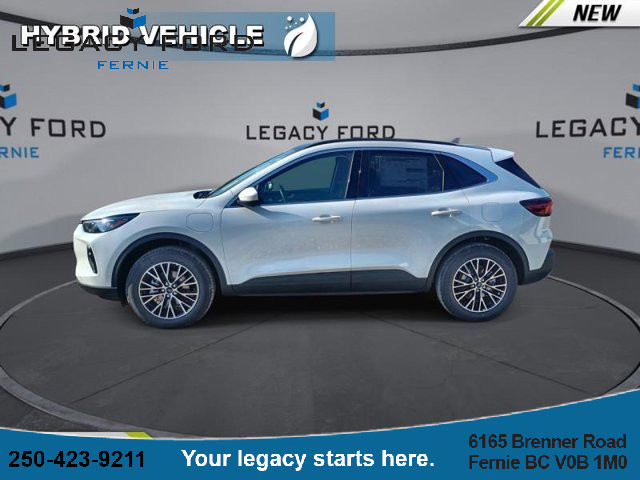 2025 Ford Escape PHEV in Cars & Trucks in Cranbrook