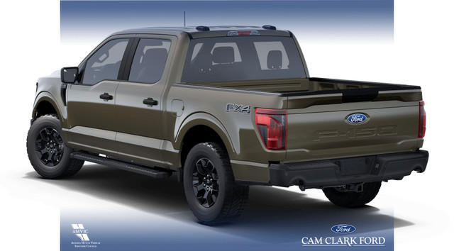 2025 Ford F-150 STX in Cars & Trucks in Red Deer - Image 2