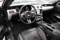 Well-maintained Pure driving excitement. Unleash the power of the iconic 5.0L V8 with this Mustang G... (image 8)