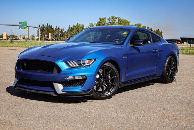 2017 Ford Mustang SHELBY LEATHER LOW KMS in Cars & Trucks in Strathcona County
