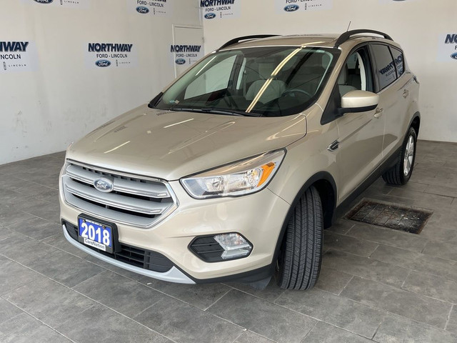 2018 Ford Escape in Cars & Trucks in Brantford - Image 2