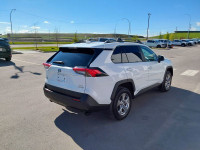 RAV4 Hybrid XLE AWD, 2.5L, Heated Front Seats, Power Sunroof, Roof Cross Bars, Paint Protection Film... (image 6)