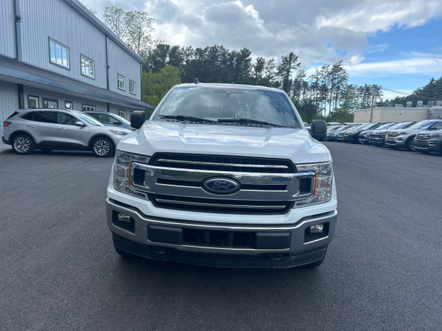 2019 Ford F-150 XLT BACKUP CAM! CARFAX CLEAN! in Cars & Trucks in Annapolis Valley - Image 3