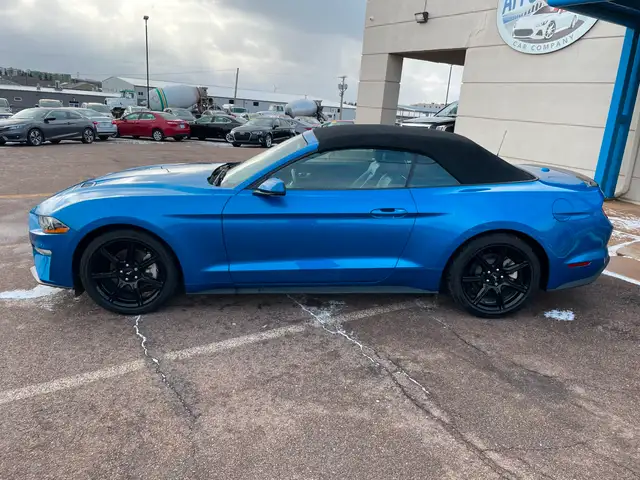 2019 Ford Mustang EcoBoost Premium Heated Seats, Backup Camera in Cars & Trucks in Charlottetown - Image 3