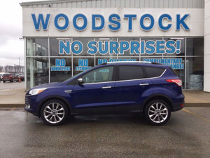 2016 Ford Escape SE **LOCAL TRADE,BRAND NEW TIRES,ONLY 97,511 Km, SE 4WD 1.6 L ECOBOOST**