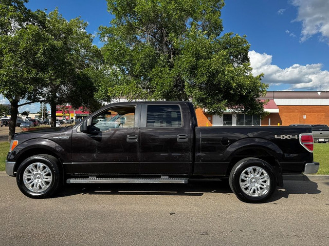 2013 Ford F-150 ONLY 93K - SuperCrew - 6.5 ft Box - CAMERA - CLE in Cars & Trucks in Edmonton - Image 2