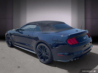 *2022 Ford Mustang GT | 5.0L V8 | Heated & Cooled Seats* Experience iconic American muscle in this 2... (image 3)