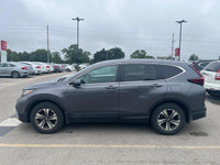Come visit our London Honda team, you can find us at 560 Wharncliffe Rd S, London, ON, N6J 2N4, or c... (image 2)