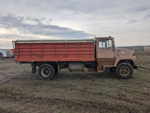1975 Ford S/A Day Cab Grain Truck 700 in Heavy Trucks in Edmonton - Image 4