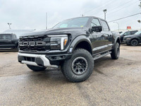 The 2025 Ford F-150 Raptor | 802A | SuperCrew 145, available at Freedom Ford Sales, is an exceptiona... (image 1)