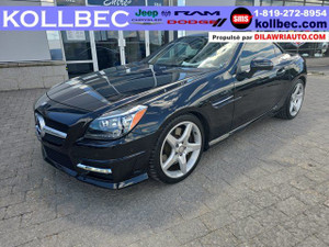 2013 Mercedes-Benz SLK SLK 350