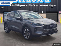 Come see this certified 2024 Ford Escape Platinum AWD | Vista Roof | Class II Tow Pkg | Leather | Ad... (image 6)
