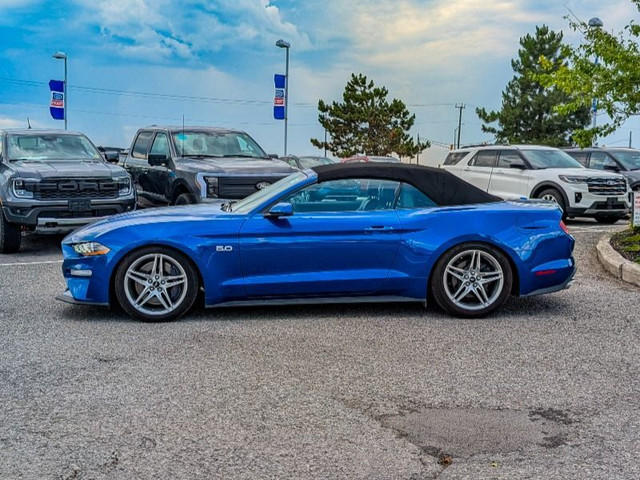 2018 Ford Mustang GT Premium Perfect Summer 'Stang! in Cars & Trucks in Kawartha Lakes - Image 3