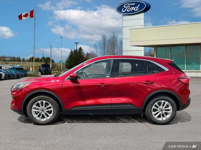 2021 Ford Escape SE in Cars & Trucks in Kitchener / Waterloo - Image 4