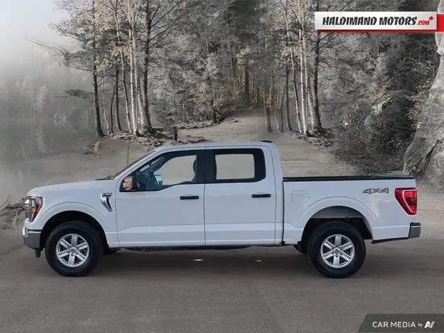 2023 Ford F-150 XLT in Cars & Trucks in Hamilton - Image 3