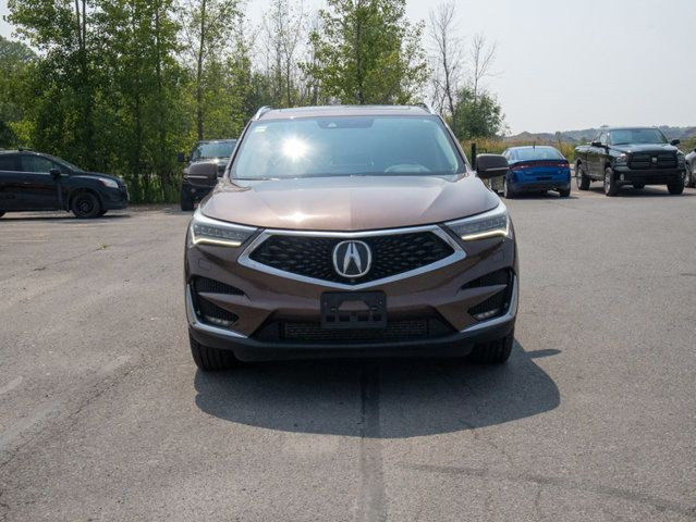 2019 Acura RDX Platinum Elite - Heated and Ventilated Front in Cars & Trucks in Belleville - Image 2