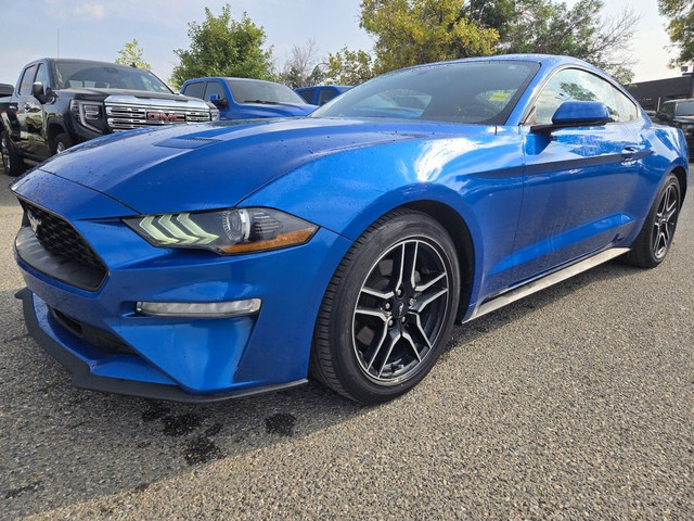 2019 Ford Mustang ECOBOOST | HTD LTH SEATS | REV CAM in Cars & Trucks in Calgary - Image 4