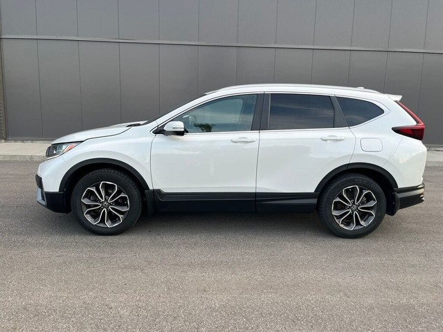 2021 Honda CR-V EX-L | Leather | Climate Ctrl | Power Liftgate in Cars & Trucks in Mississauga / Peel Region - Image 2