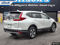 Look at this certified 2019 Honda CR-V LX AWD | Remote Start | Adaptive Cruise | Heated Seats | CarP... (image 4)