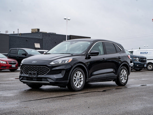 2020 Ford Escape SE - 1.5L Ecoboost Engine | Heated Front Seats in Cars & Trucks in Belleville - Image 3