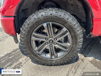 2021 Ford F-150 XLT 4X4 Red GROUP 302A FORD CO-PILOT 360 ASSIST 3.55 RATIO REGULAR AXLE NAVIGATION T... (image 5)
