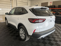 Employee Pricing on now! You pay what we pay on every New and Used Vehicle at Boundary Ford - Best D... (image 8)