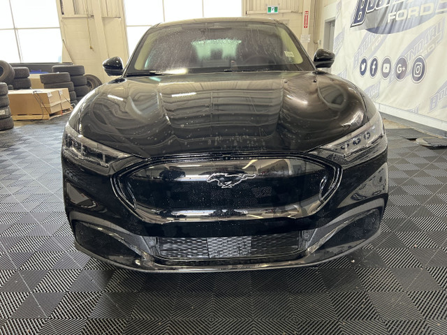 2025 Ford Mustang Mach-E PREMIUM | BLUECRUISE | PANO FIXED-GLASS in Cars & Trucks in Lloydminster - Image 4