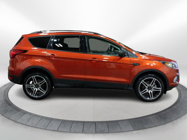 2019 Ford Escape SEL ONE OWNER - LOCAL LETHBRIDGE ESCAPE! in Cars & Trucks in Lethbridge - Image 2