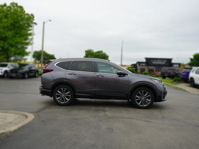 2020 Honda CR-V Sport | 1 Owner | No Accidents in Cars & Trucks in Hamilton - Image 4