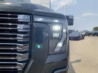 This 2025 ULTIMATE DENALI HD 3500 is the new benchmark for LUXURY. Fully equipped with every option... (image 9)
