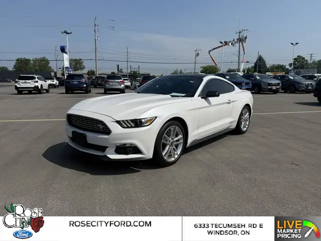 2017 Ford Mustang EcoBoost Premium in Cars & Trucks in Windsor Region - Image 2