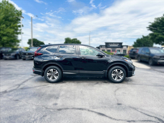 2020 Honda CR-V LX | Honda Certified | 1 Owner | No Accidents in Cars & Trucks in Hamilton - Image 4