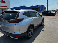 Anti-Lock Brakes; Fog Lights; Immobilizer; Back-Up Camera; Driver Information Centre; Deep Tinted Gl... (image 6)