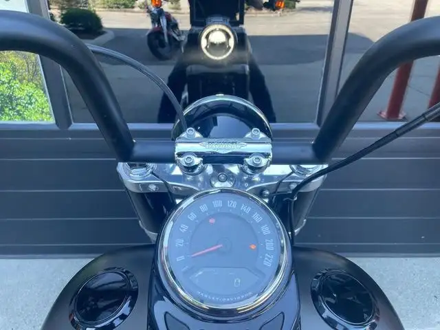 2021 Harley-Davidson Softail FLSL - Slim in Street, Cruisers & Choppers in Calgary - Image 15