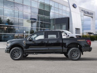 Experience the future of trucking with the 2025 Ford F-150 Tremor! This cutting-edge pickup combines... (image 2)