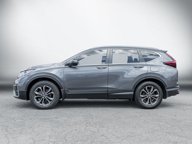 2022 Honda CR-V EX-L | Leather | Clean Carfax | Heated Seats in Cars & Trucks in Hamilton - Image 3