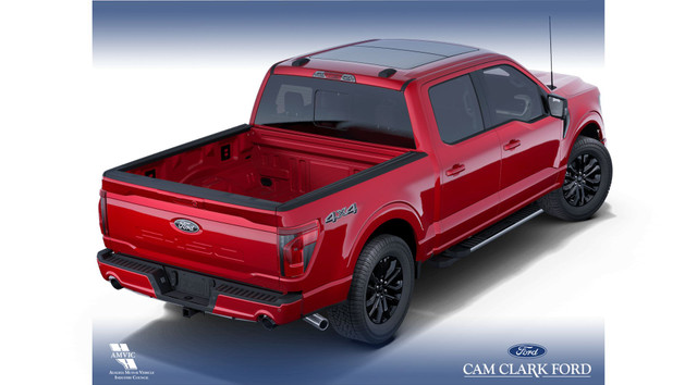 2025 Ford F-150 XLT in Cars & Trucks in Red Deer - Image 4