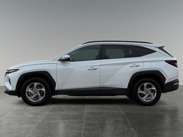 2023 Hyundai Tucson Preferred in Cars & Trucks in Calgary - Image 2