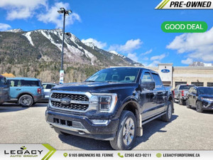 2022 Ford F 150 Platinum