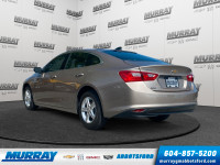One Owner | No Accidents | Remote vehicle start | Wireless Apple CarPlay and Android Auto | Bluetoot... (image 6)