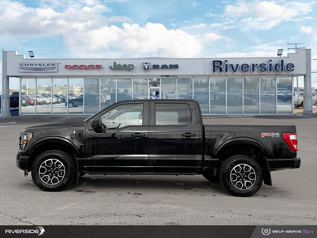  2023 Ford F-150 XL in Cars & Trucks in Prince Albert - Image 3