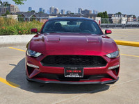 { CERTIFIED PRE-OWNED } THIS VEHICLE COMES FULLY CERTIFIED WITH A SAFETY CERTIFICATE SERVICED AT NO... (image 9)