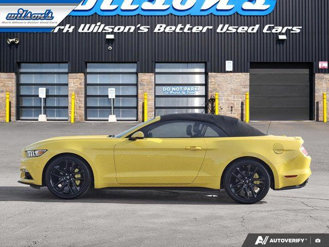 2016 Ford Mustang EcoBoost Premium | Leather | Nav in Cars & Trucks in Guelph - Image 2
