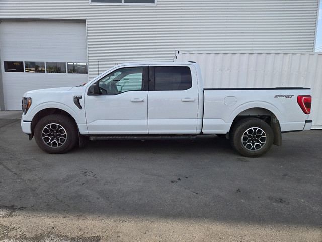 2023 Ford F-150 XLT **430HP**TOWS UP TO 4200KG**STILL UNDER R... in Cars & Trucks in Grande Prairie - Image 3