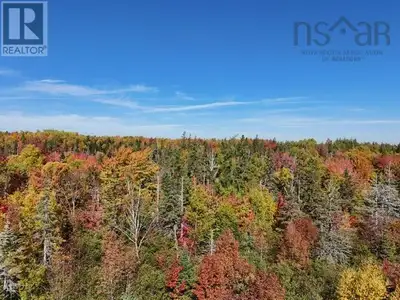 This property features a parcel of 4.45 acres (+-) on the Big Baddeck Road north of the Village of B...