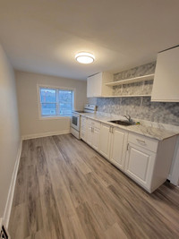 Elm 520 Unit 2 - Beautiful 1 Bedroom