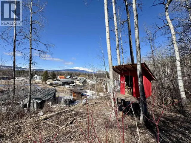 1681 1ST STREET Telkwa, British Columbia in Houses for Sale in Smithers - Image 35