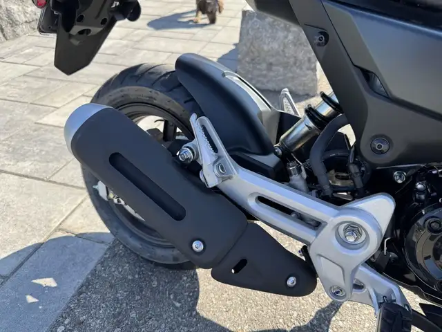 2025 Honda MSX125 Grom ABS in Street, Cruisers & Choppers in Kitchener / Waterloo - Image 14